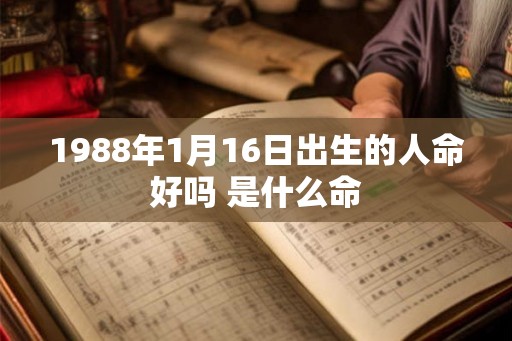 1988年1月16日出生的人命好吗 是什么命