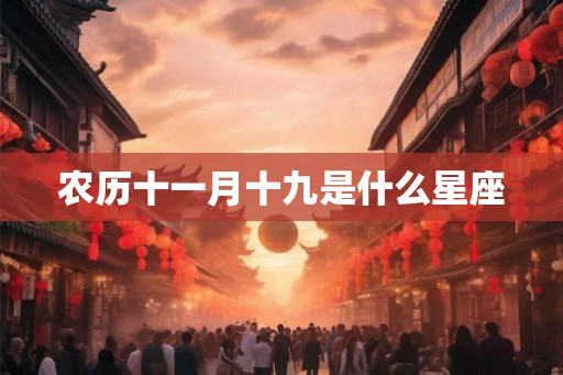 农历十一月十九是什么星座