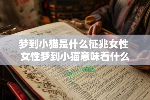 梦到小猫是什么征兆女性 女性梦到小猫意味着什么