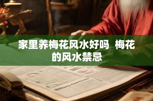 家里养梅花风水好吗  梅花的风水禁忌