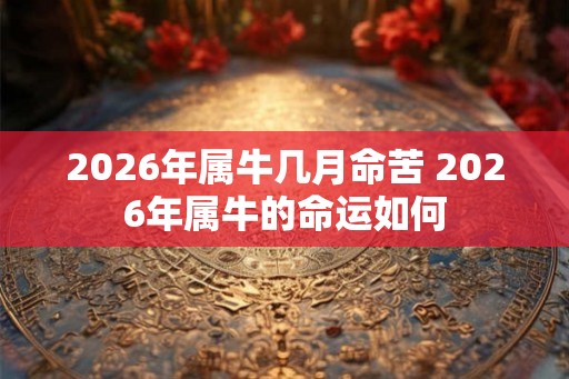 2026年属牛几月命苦 2026年属牛的命运如何 2026年属牛几月命苦 2026年属牛的命运如何