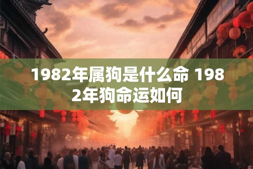 1982年属狗是什么命 1982年狗命运如何