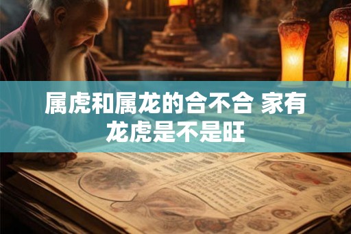 属虎和属龙的合不合 家有龙虎是不是旺