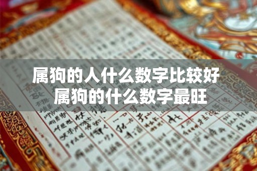 属狗的人什么数字比较好  属狗的什么数字最旺