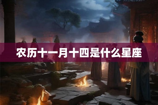 农历十一月十四是什么星座 农历十一月十四是什么星座
