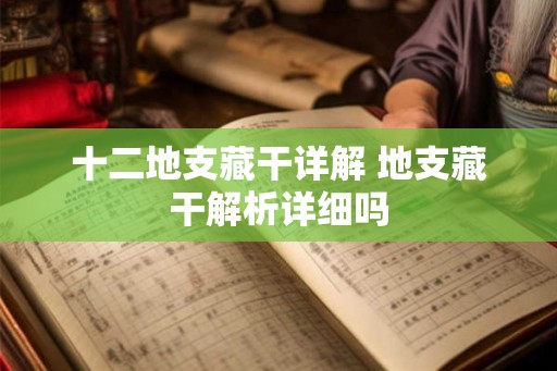 十二地支藏干详解 地支藏干解析详细吗