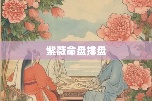 紫薇命盘排盘