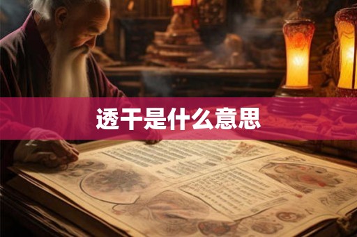 透干是什么意思