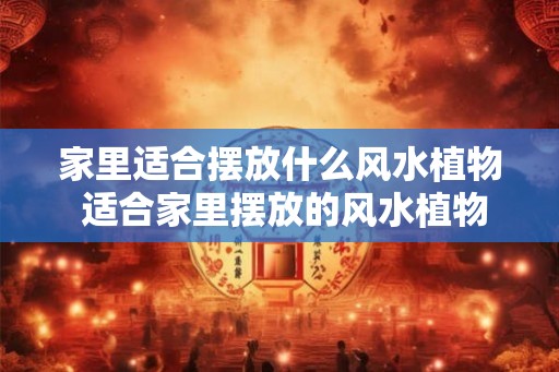 家里适合摆放什么风水植物 适合家里摆放的风水植物是什么