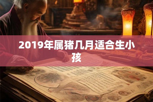 2019年属猪几月适合生小孩