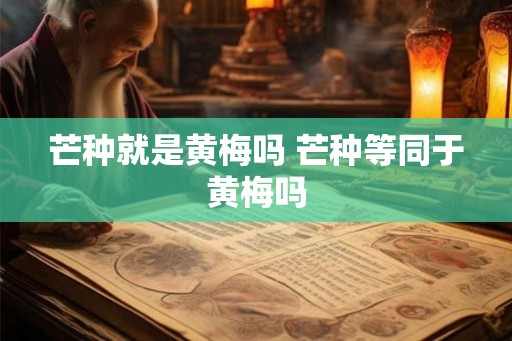 芒种就是黄梅吗 芒种等同于黄梅吗