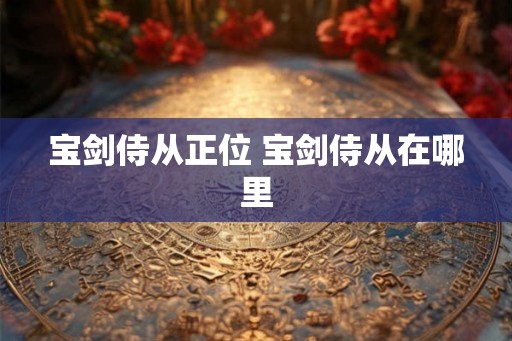 宝剑侍从正位 宝剑侍从在哪里 宝剑侍从正位 宝剑侍从在哪里