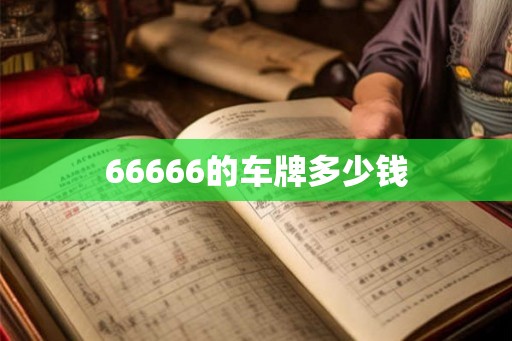 66666的车牌多少钱