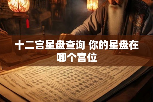 十二宫星盘查询 你的星盘在哪个宫位