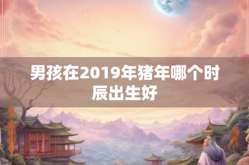 男孩在2019年猪年哪个时辰出生好