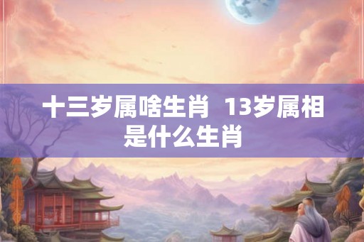 十三岁属啥生肖  13岁属相是什么生肖