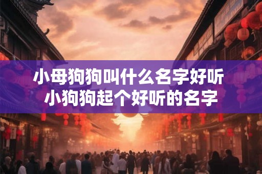小母狗狗叫什么名字好听 小狗狗起个好听的名字