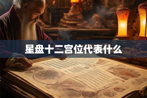星盘十二宫位代表什么