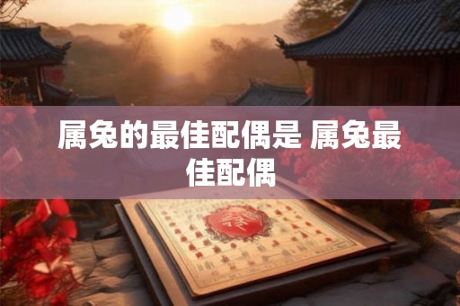 属兔的最佳配偶是 属兔最佳配偶