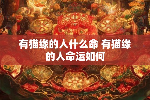 有猫缘的人什么命 有猫缘的人命运如何 有猫缘的人什么命 有猫缘的人命运如何