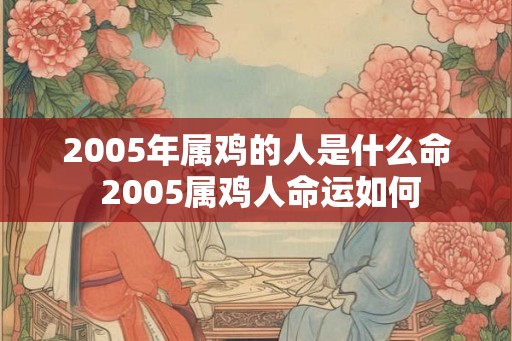 2005年属鸡的人是什么命 2005属鸡人命运如何