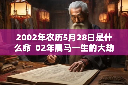 2002年农历5月28日是什么命  02年属马一生的大劫