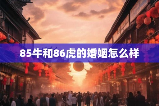 85牛和86虎的婚姻怎么样