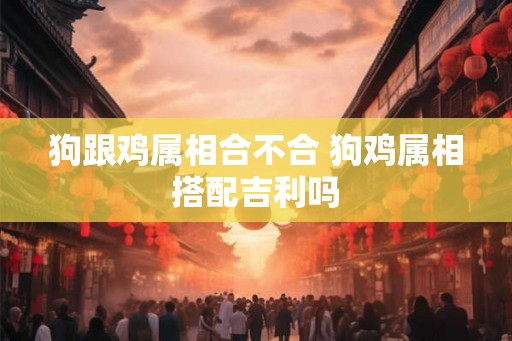 狗跟鸡属相合不合 狗鸡属相搭配吉利吗