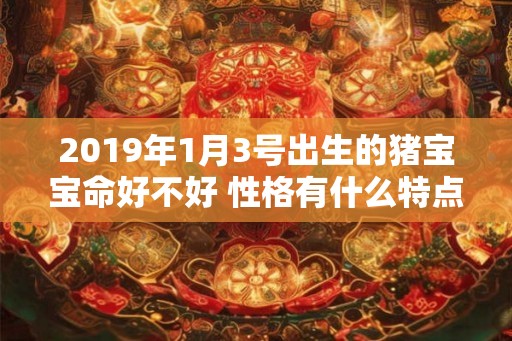 2019年1月3号出生的猪宝宝命好不好 性格有什么特点