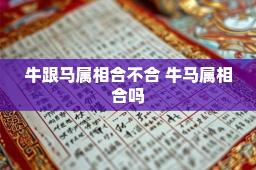 牛跟马属相合不合 牛马属相合吗