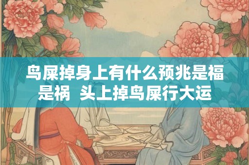 鸟屎掉身上有什么预兆是福是祸  头上掉鸟屎行大运