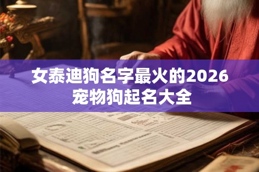 女泰迪狗名字最火的2026 宠物狗起名大全