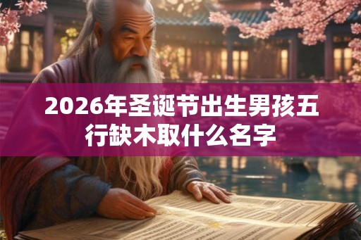 2026年圣诞节出生男孩五行缺木取什么名字
