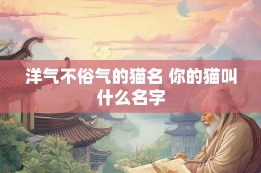洋气不俗气的猫名 你的猫叫什么名字