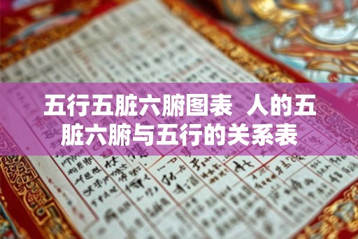 五行五脏六腑图表  人的五脏六腑与五行的关系表