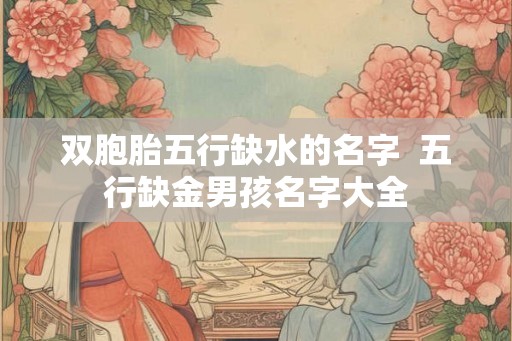 双胞胎五行缺水的名字  五行缺金男孩名字大全