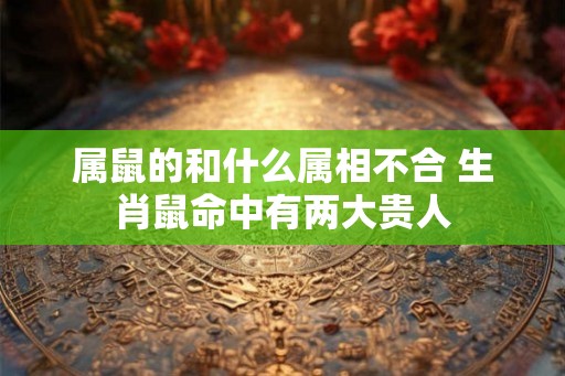 属鼠的和什么属相不合 生肖鼠命中有两大贵人