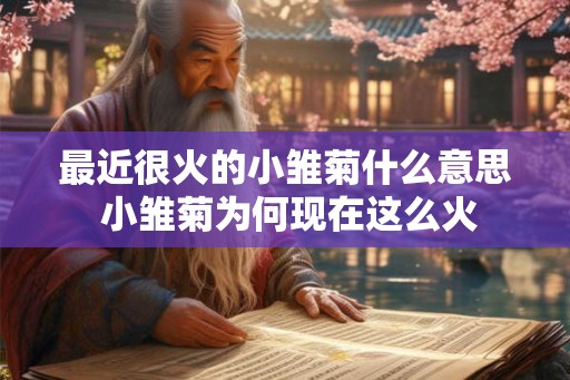 最近很火的小雏菊什么意思 小雏菊为何现在这么火