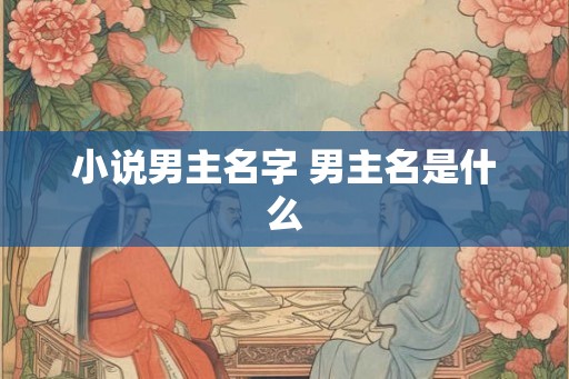 小说男主名字 男主名是什么 小说男主名字 男主名是什么