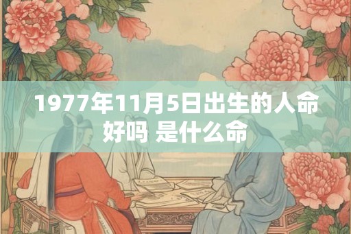 1977年11月5日出生的人命好吗 是什么命 1977年11月5日出生的人命好吗 是什么命