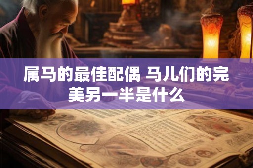 属马的最佳配偶 马儿们的完美另一半是什么