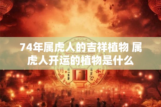 74年属虎人的吉祥植物 属虎人开运的植物是什么 74年属虎人的吉祥植物 属虎人开运的植物是什么