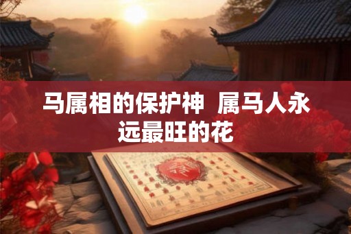 马属相的保护神 属马人永远最旺的花 马属相的保护神 属马人永远最旺的花