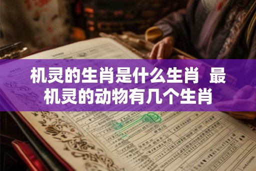 机灵的生肖是什么生肖  最机灵的动物有几个生肖