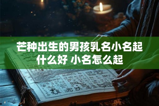 芒种出生的男孩乳名小名起什么好 小名怎么起