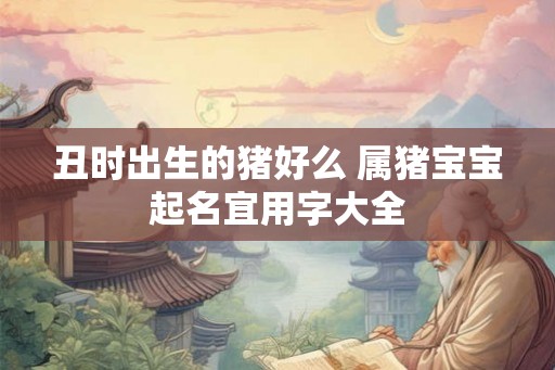 丑时出生的猪好么 属猪宝宝起名宜用字大全