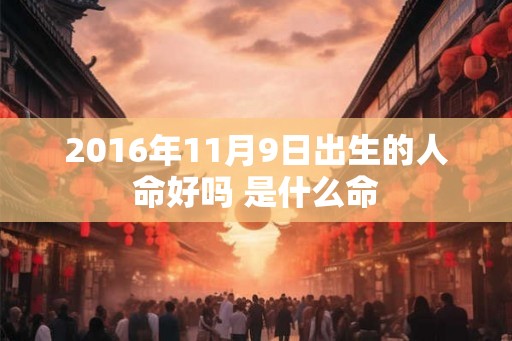 2016年11月9日出生的人命好吗 是什么命