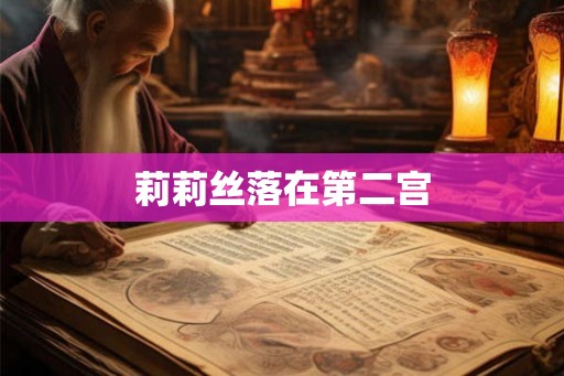 莉莉丝落在第二宫