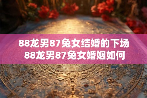 88龙男87兔女结婚的下场 88龙男87兔女婚姻如何