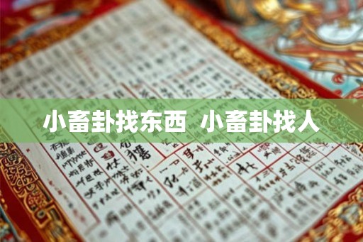 小畜卦找东西  小畜卦找人